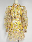 Lace Vintage Society Dress