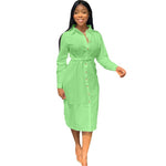 The Shirt Dress